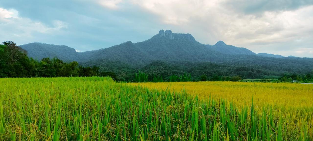 Pimpisa Garden พิมพิศา การ์เด้นท์ Villa Khuang Kom ภายนอก รูปภาพ